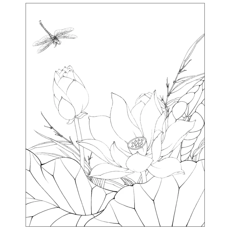 

Li Xiaoming Lotus Dragonfly Sketch Copying Papers Meticulous Painting Line Drawing Print Manuscripts with Coloring Step Diagrams