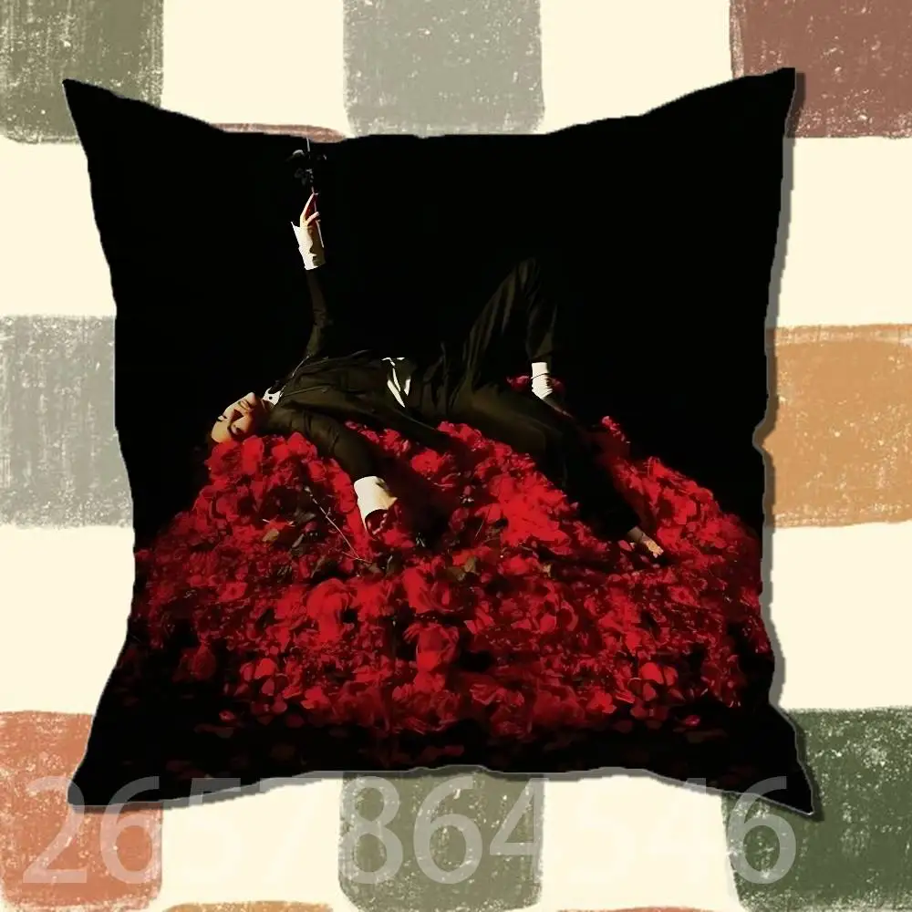 S-Superache C-conan grey Polyester Printed Pillow Cover Square 30 35 40 45 50 55 cm Soft for Sofa Bed Car Home Decor