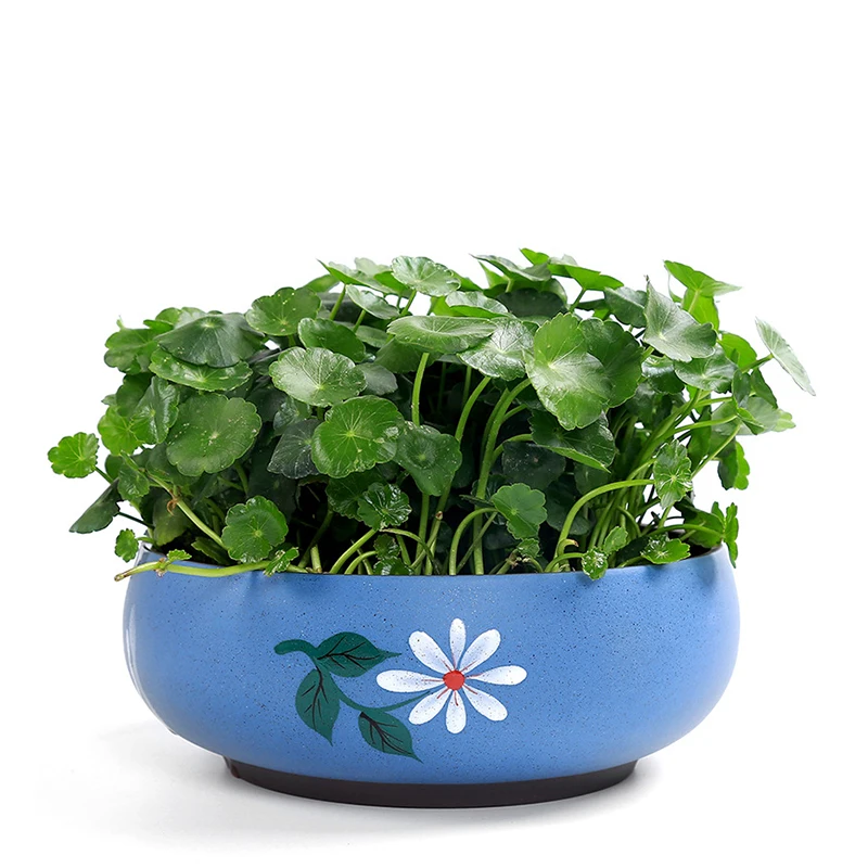 Japanese Hand Painted Floret Ceramic Large Flower Pot Simple Hydroponic Green Plant Potted Home Decoration Gardening