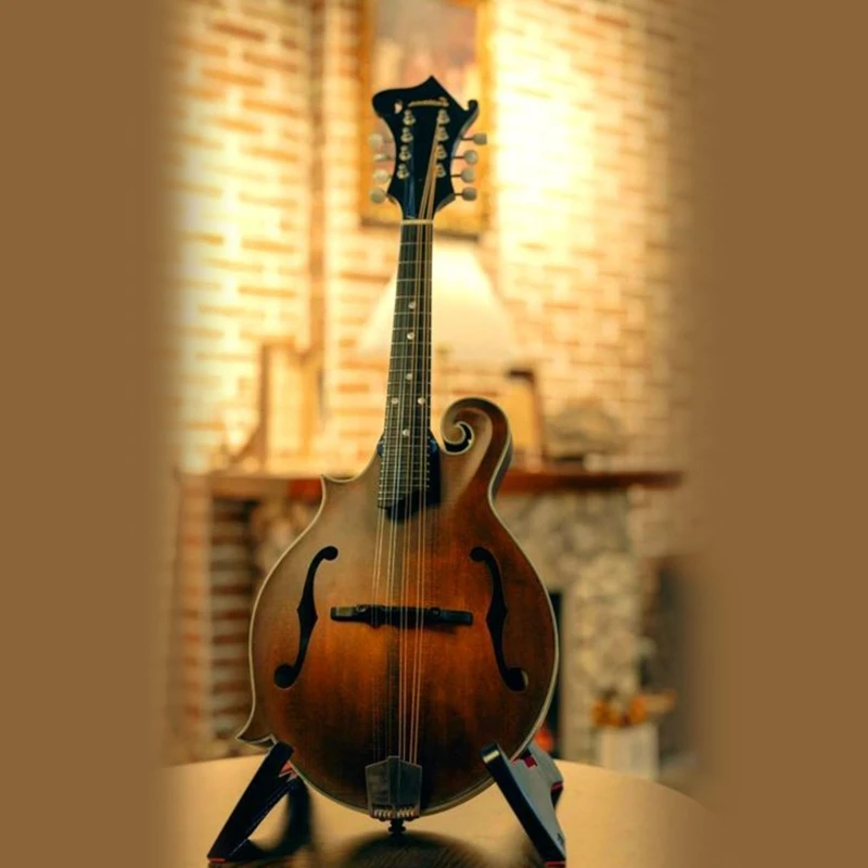 

Replacement Strings 8 String Mandolin Strings Repair Strings for Mandolin