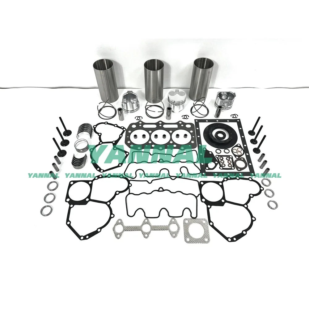 Overhaul Rebuild Kit for Perkins 403D-11 Model, Engine Family 8H3XL1.13LCS