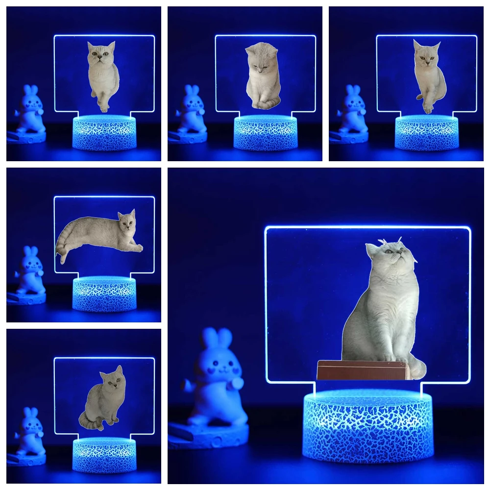 

The lovely Cat JIUYUE 3D Touch LED Night Light for Bedroom Decor the Kids Birthday Gift