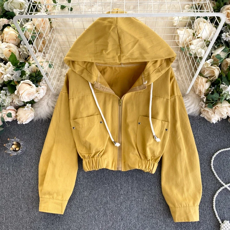 Fashionable Short Hooded Zippered Jacket for Women 2022 Korean Vintage Casual Cardigan Jacket for Women Autumn Clothes
