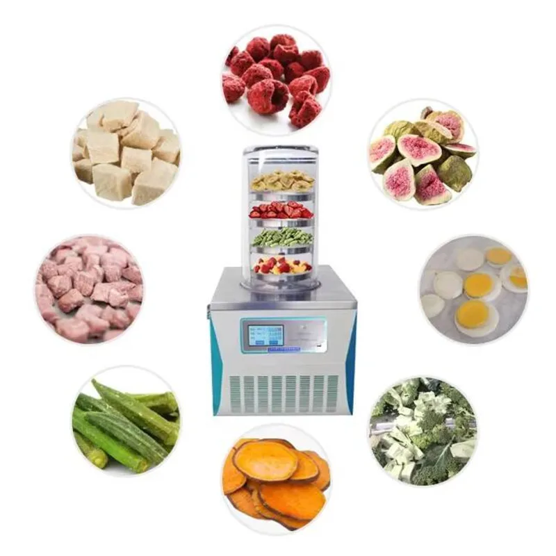 Top Stainless Steel For Processing Laboratory Food Filter Vacuum Freeze Dryer Mulberry Bird's Nest Fully Automatic Freeze