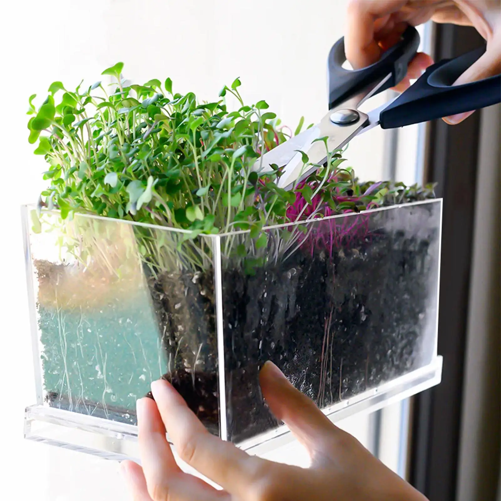 Windowsill Planter Box Transparent Plant Pot Household Rectangle Planter Acrylic Nursery Pot for Housewarming Windowsill Home