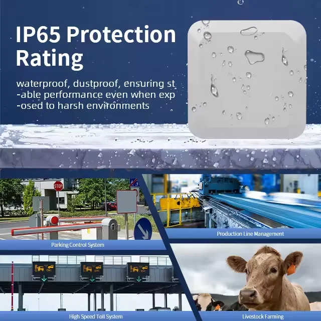 Yistar UHF Reader 10m Long Range Reader with 8dbi Antenna RS232/RS485 Uhf Rfid Integrated Reader for Parking Lot Management