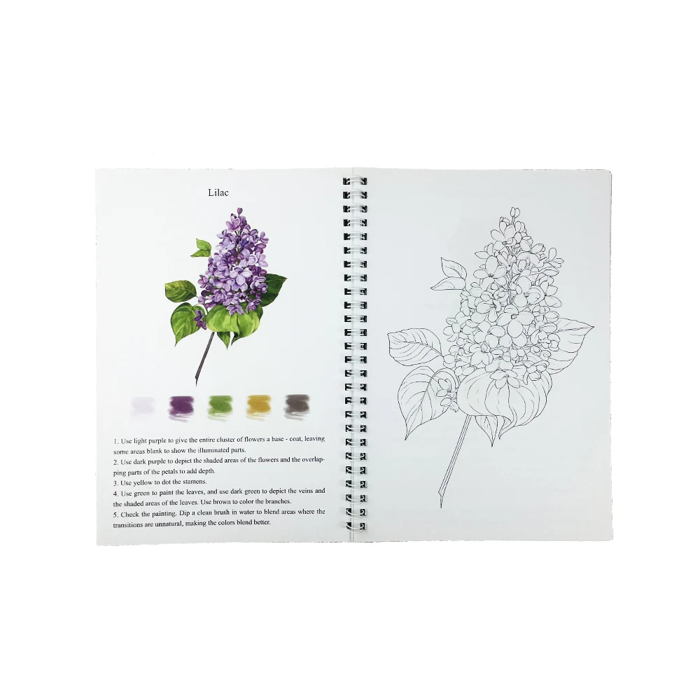 Floral Art Relax Coloring Book for Adults - Floral Painting on Thick Artist Paper | Premium Color Guide & Holiday Gift Set