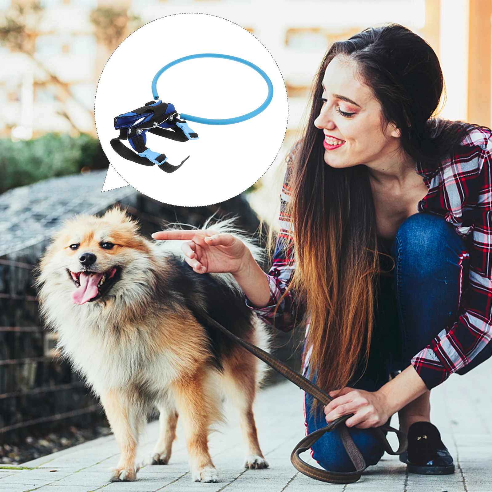 

Cats Anti-collision Protection Ring Dog Harness Strap Pet Anticollision Training
