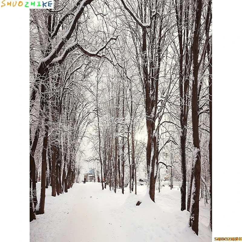 قطرات خلفية للتصوير الفوتوغرافي للغابات الشتوية ، طريق مغطى بالثلوج ، ندف الثلج ، أشجار التنوب ، خلفية الصورة ،