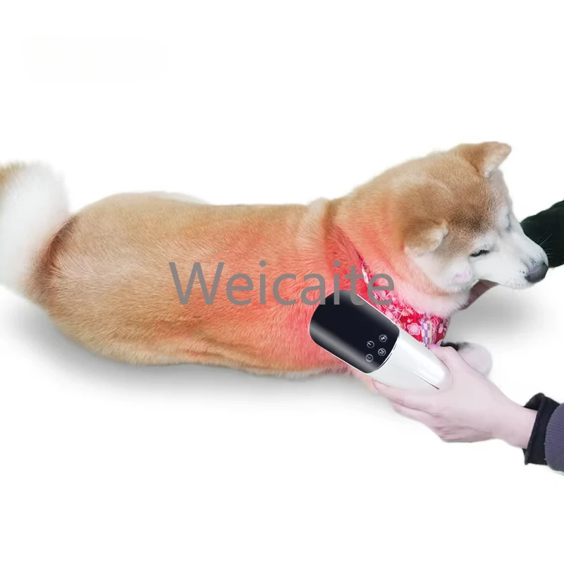 

Portable Red/Near Infrared Light Therapy Device for Dog Pain Recovery Veterinary Instrument for Pets