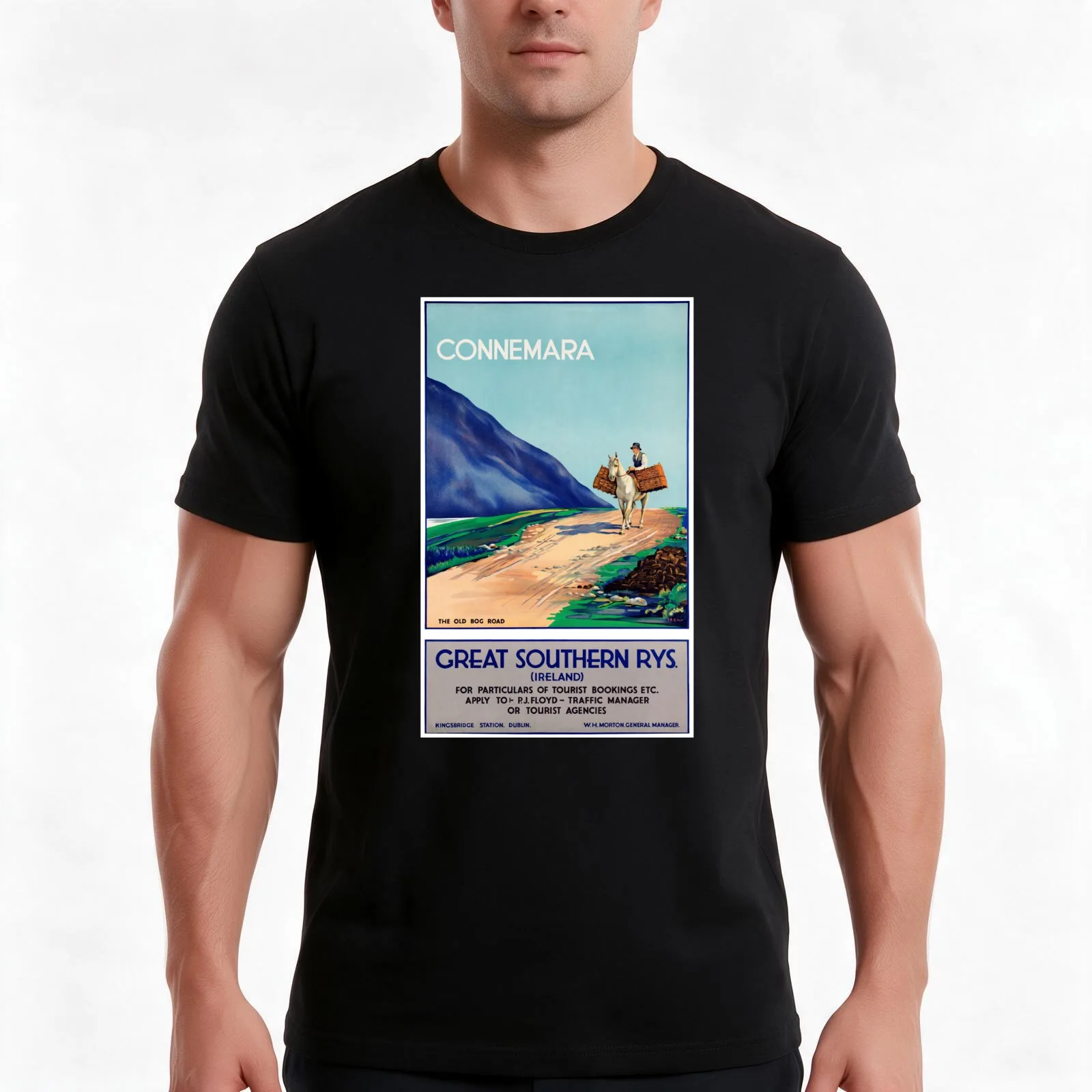 Ireland Connemara Vintage Travel Poster 1930 T-Shirt, Summer Casual Cotton Tee, Oversized Streetwear Tops, Vintage Graphic Print