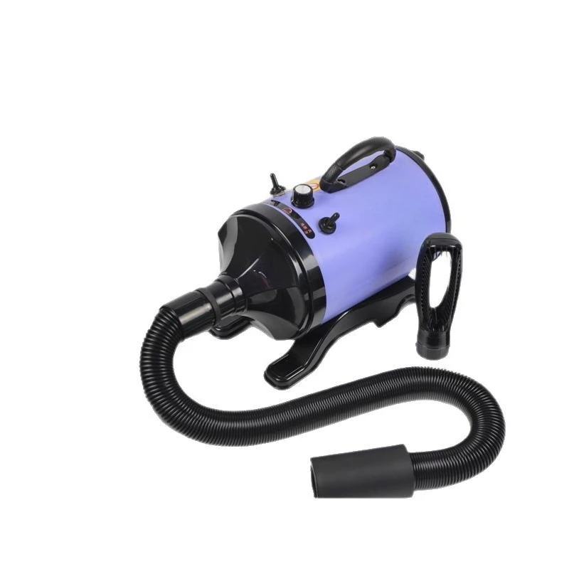 

Pet hair dryer high power hair dryer, teddy gold