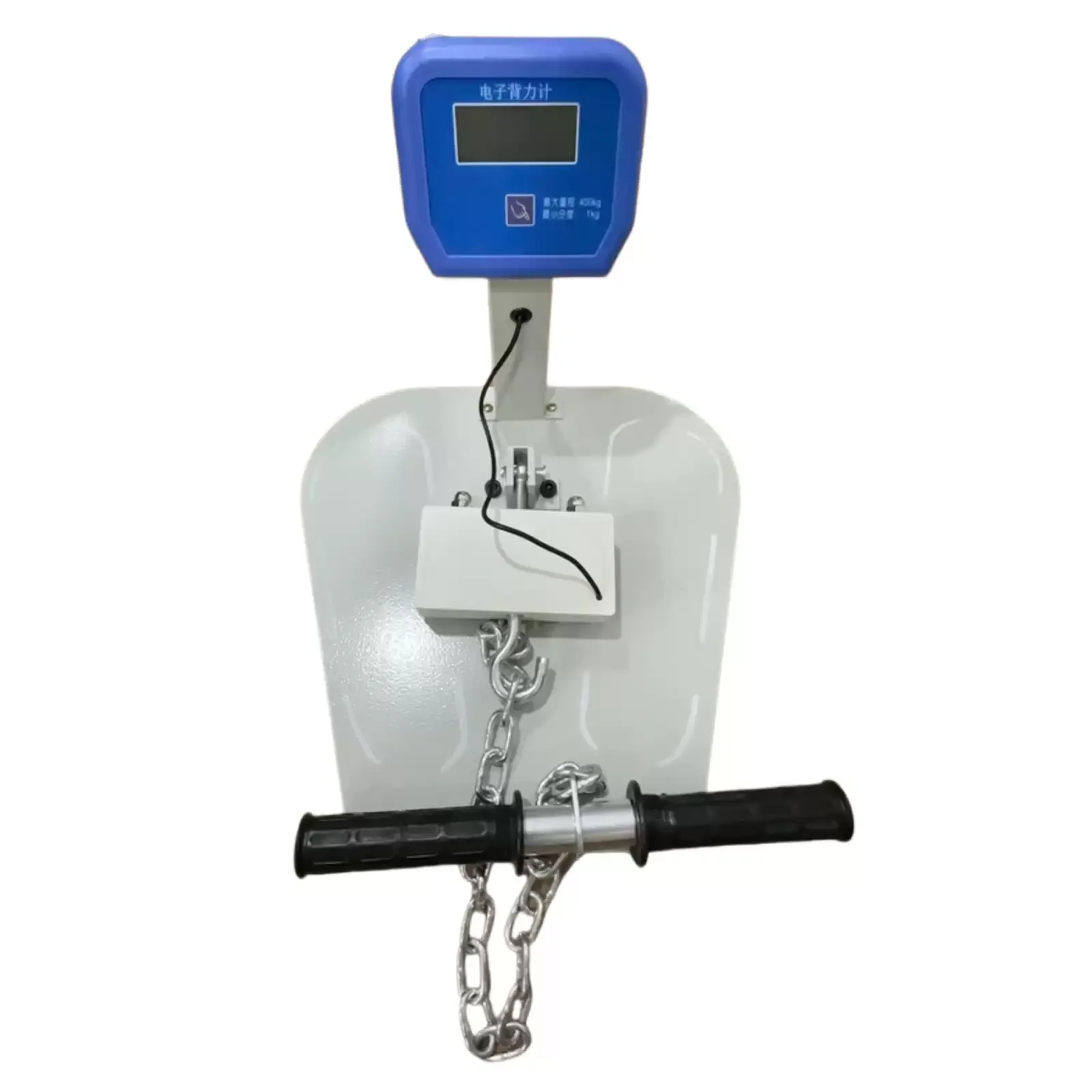 Electronic Back Force Meter, BCS-400 Type, Back Lumbar Muscle, Functional Evaluation and Physical Fitness Test