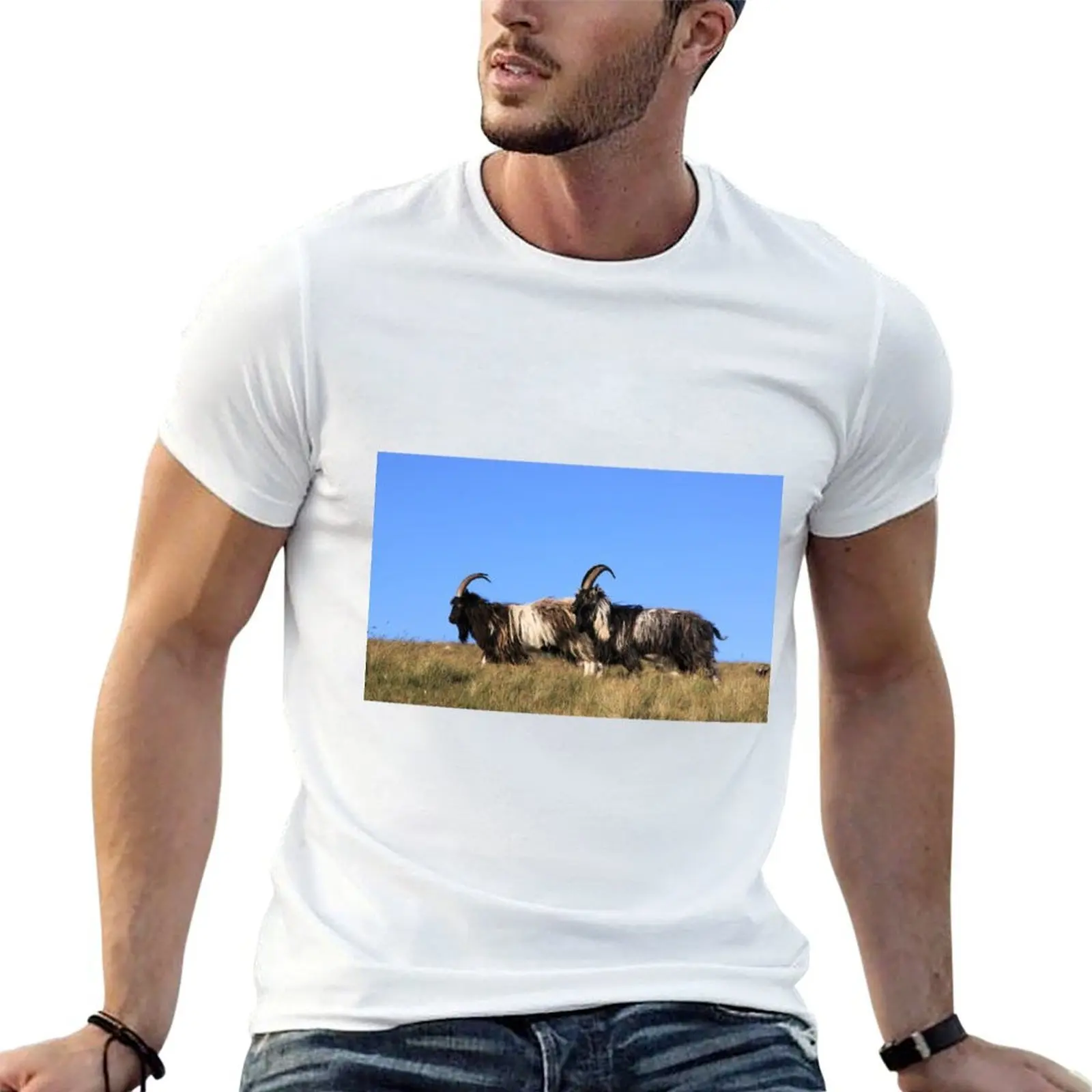 

Scottish Wild Goats T-Shirt cotton t shirt man man t shirt luxury t shirts for man cotton funny T-Shirt