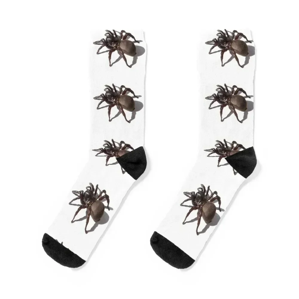 Tarantula Socks fashionable Novelties hip hop Rugby Socks For Men Women's