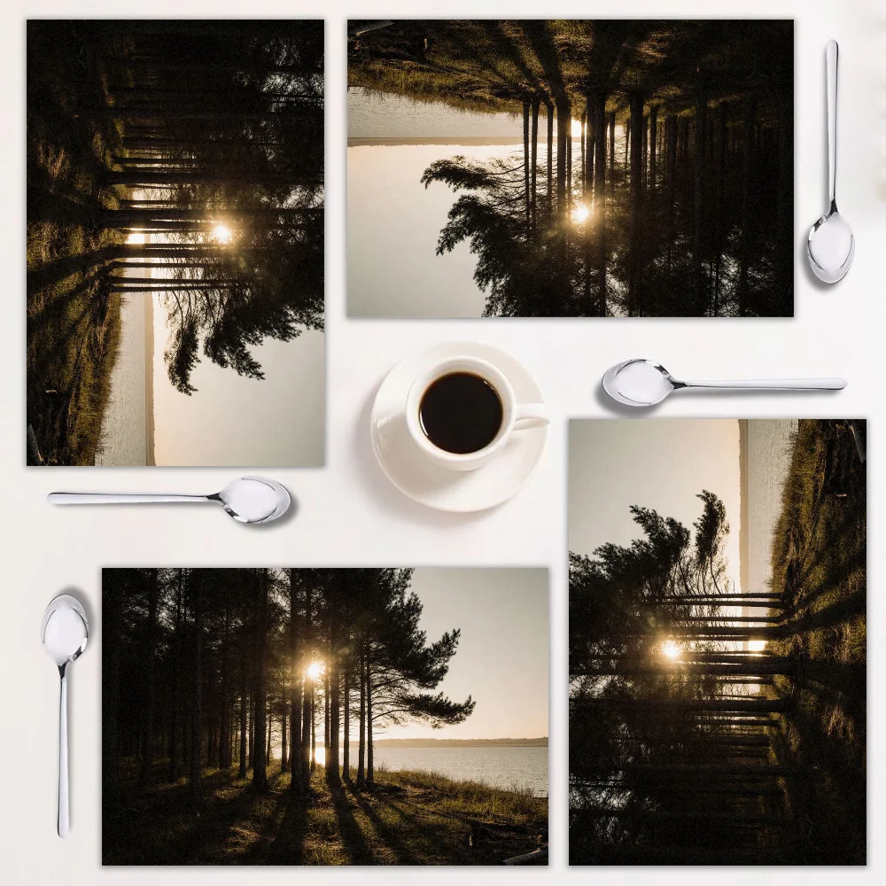 

Set of 4 placemats, rustic forest theme, rectangular, easy to clean, perfect for home dining and festive occasions.