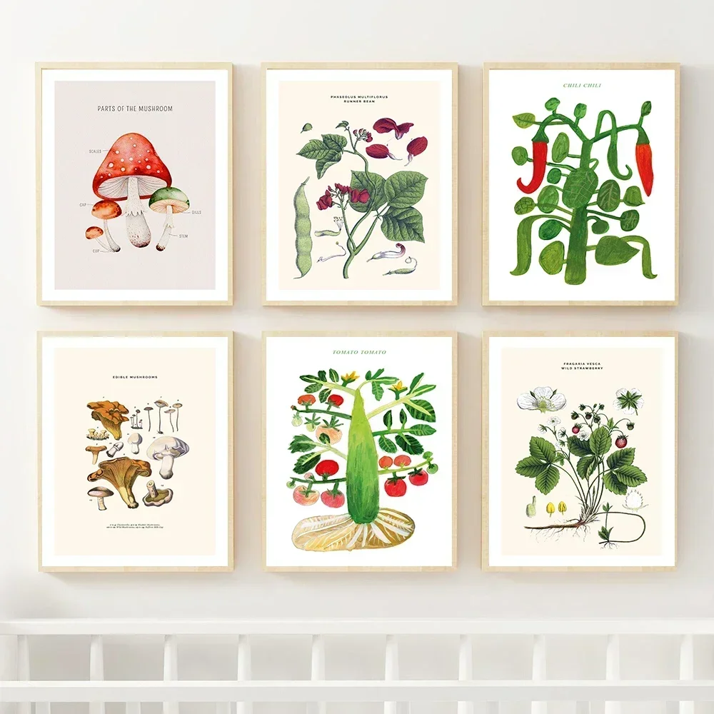 Wall Art Canvas Painting Fruit Vegetables Prints Mushroom Guide to Produce Chili Plants Poster Picture for Kitchen Home Decor