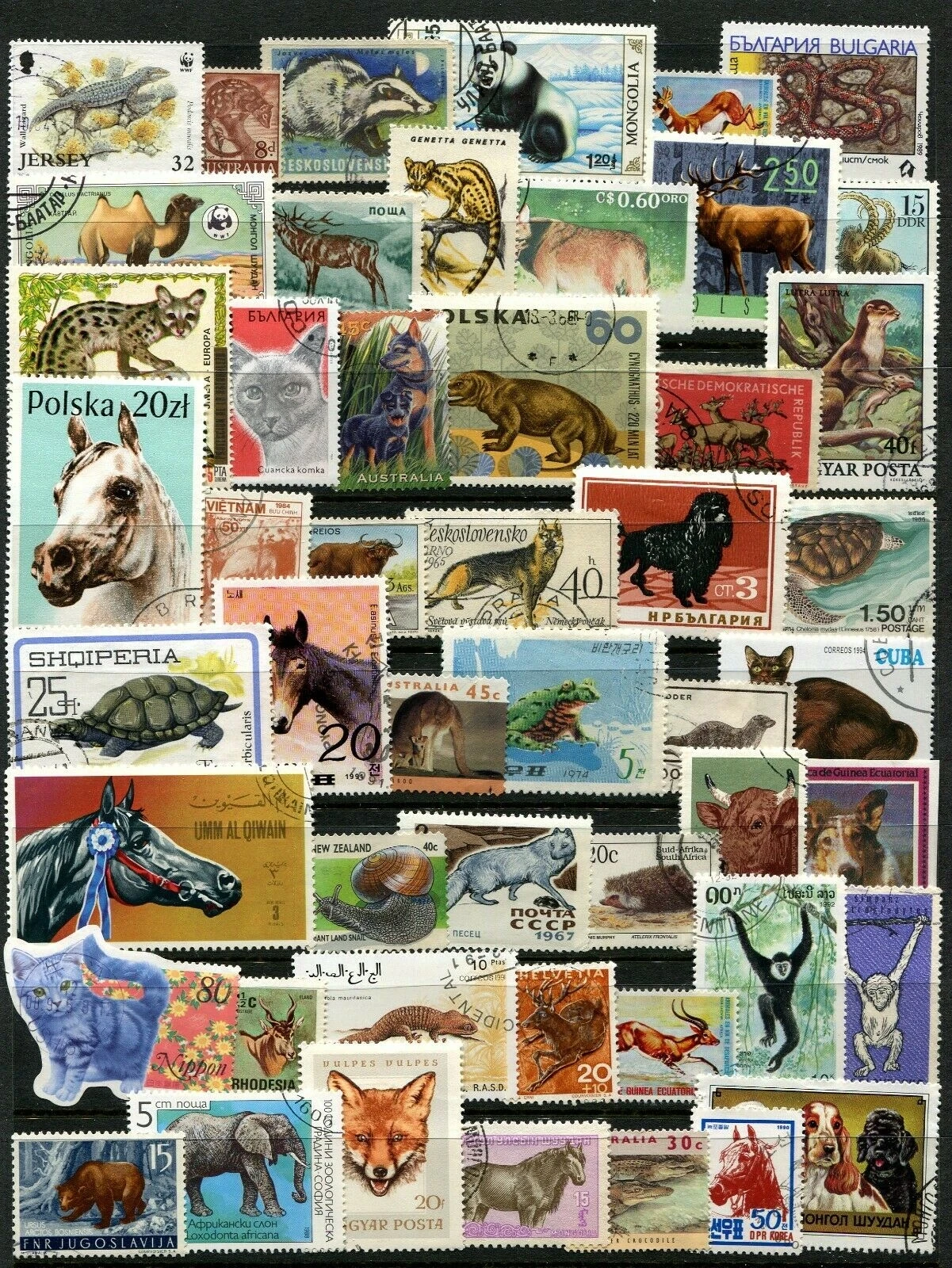 Wildtiere der Welt: Echte Briefmarken mit Tiermotiven, 100 verschiedene Tierbriefmarken, Sammlung, Sammlerbriefmarken – Detail 8