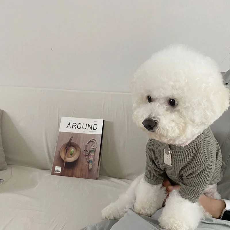 Thin Dog Clothes Solid Pet Dog Hoodies Fashion Kitten Puppy Undershirts Chihuahua Clothing Yorkie Bichon Vest Dog Costume Shirt