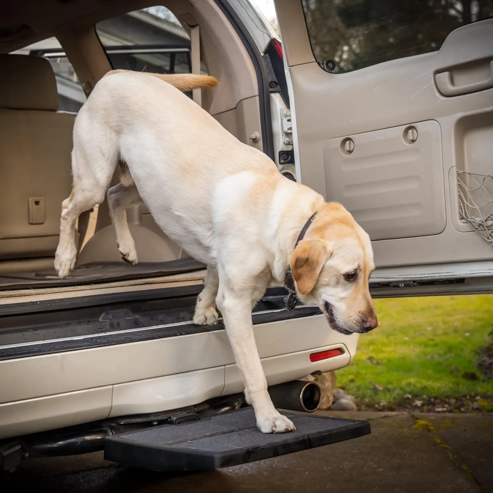 US Pet Ramp Step Helps Dogs Get in & Out of Car Van SUV | Portable Lightweight Dog Ramp | Simply Slide into 2 inch Trailer Hitch