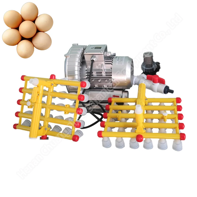 Multifunctional Vacuum Egg Lifter 15 Head With Great Price