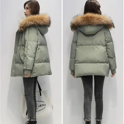 Women's Winter Loose Waterproof Snow Coat Jacket 2023 Chic Imitate Raccoon Fur Hooded Winter Coat Women's Casual Warm Jacket