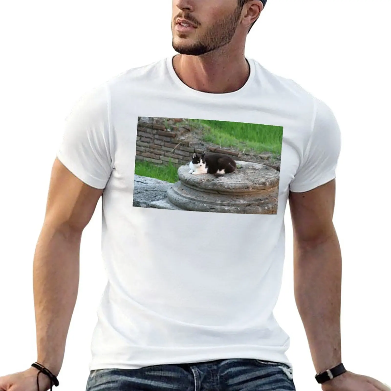 

Archaeologist Cat Resting on a Roman Column T-Shirt g man t shirts for men t shirts for man graphic vintage T-Shirt