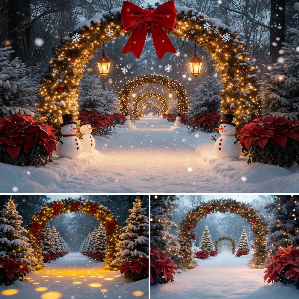 

Winter Christmas Decor Background Xmas Snowy Season Forest Path Flower Garland Arches Portrait Family Party Photography Backdrop
