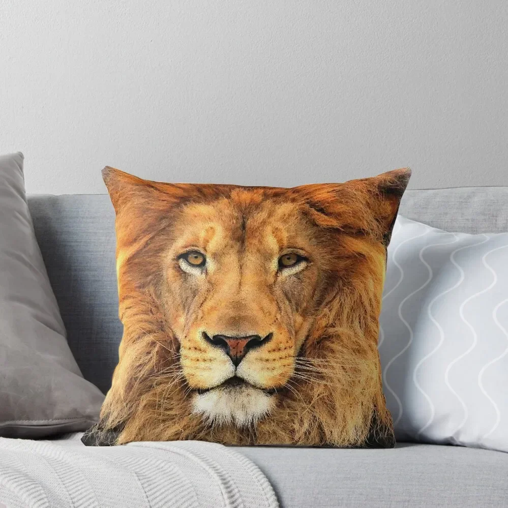 Beautiful Lion Face Wild Cat Glare Throw Pillow Pillowcase Cushion Ornamental Pillow Cushions Home Decor Pillow