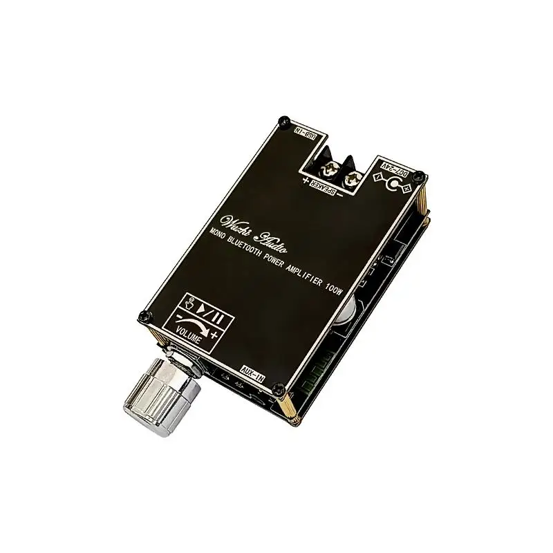 Bluetooth 5.1 TPA3116 D2 Mono 100W Bt Audio Power Amplifier Module AMP Amplificador Home Theater With TWS Mode view 3