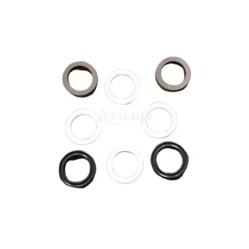 New Original for OTT-JAKOB Shaft Seal Ring 95.101.795.9.2 for CNC Clamping Cylinder Oil Dust Protection