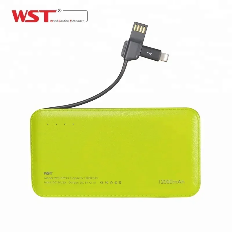 

Public universal 5V 2.1A 12000mAh WST power bank for personalized mobile