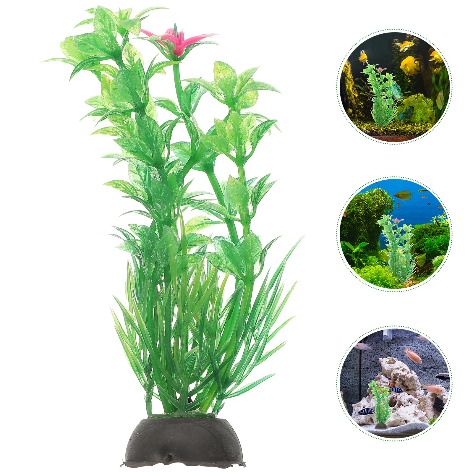

10 Pcs Aquatic Decoration Aquarium Artificial Plastic Plants Container Décor Small
