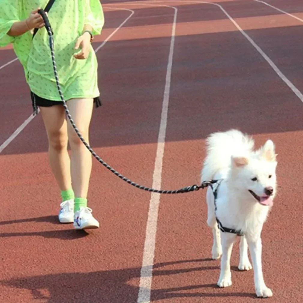 Strong Retriever Pull Dog Big Tow Drag Pet Large Golden Medium Reflective Small Leashes For 5