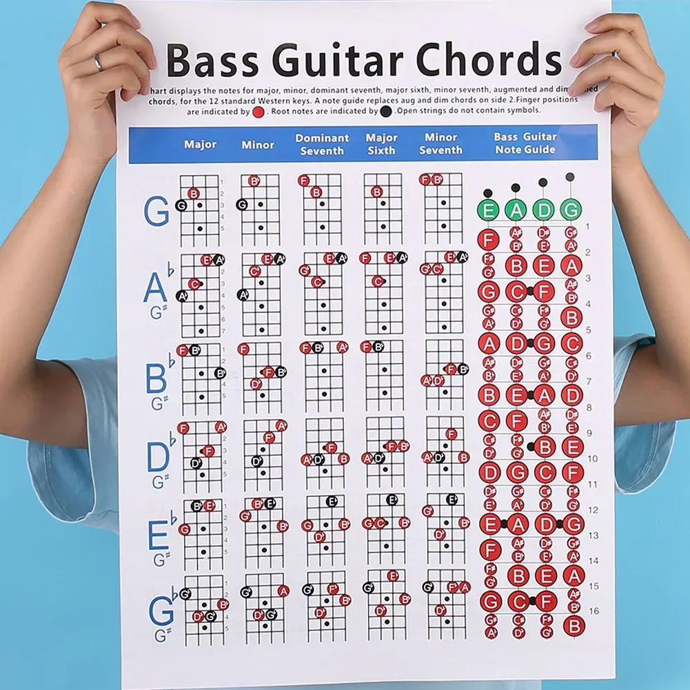 Tabla de enseñanza clara, acordes de bajo, acordes laminados de 4 cuerdas, póster de aprendizaje de papel recubierto para principiantes, notas portátiles