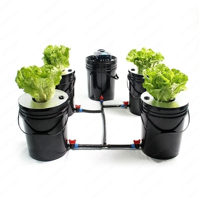 

20L 4pc Black Modern Dutch Bucket DWC Hydroponic Kit PP Plastic Material Tomato/green Leaf Garden Supplies