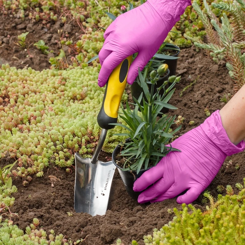 フクシアニトリル使い捨て手袋 3.5mil ラテックスフリー家庭用クリーニング手袋女性園芸安全作業保護手袋