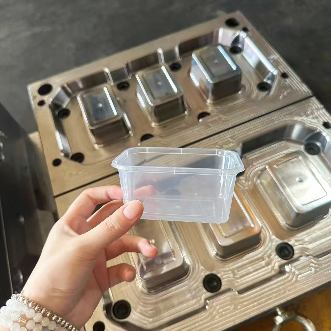 6 Cavity Thin Wall Food Container Mold Meal Box Mold Mould Maker Plastic Injection Mold