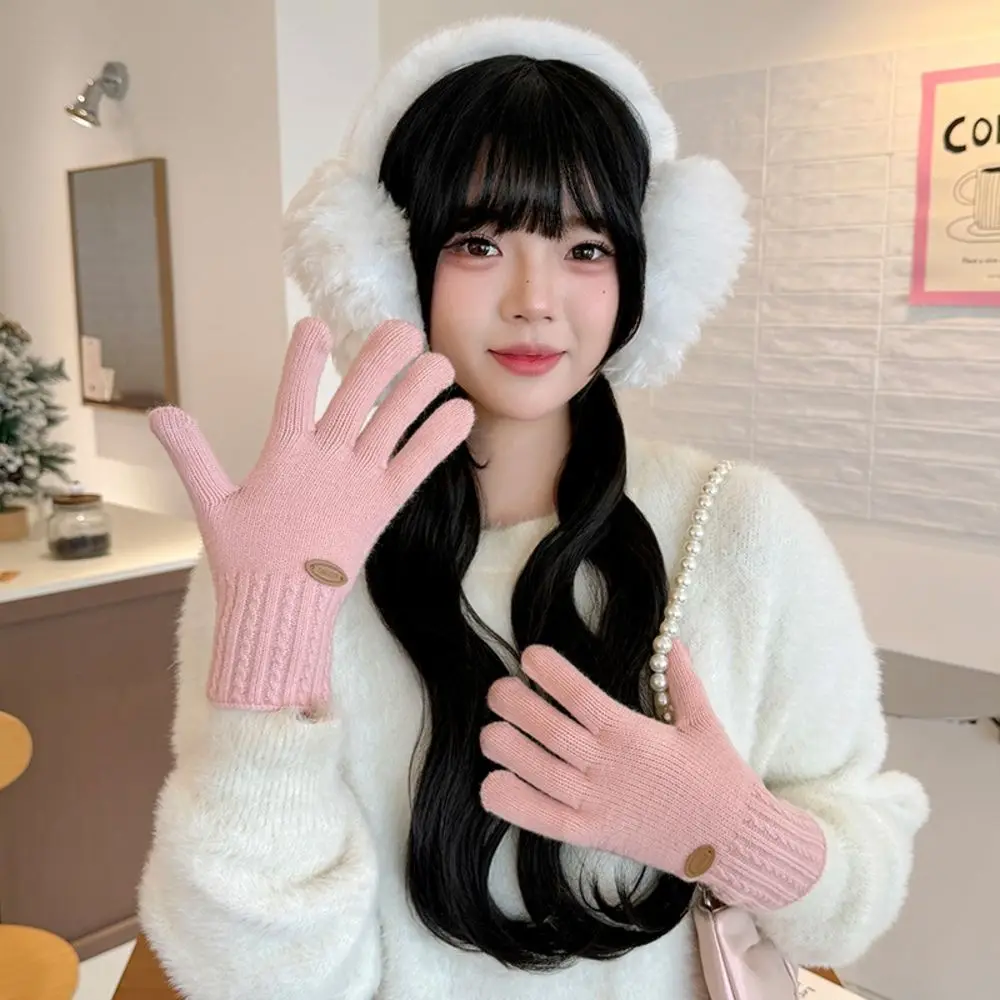 Practical Polyester Cable Knitted Gloves Cold Proof Textured Warm Touch Screen Gloves Full Finger Winter Gloves For Women