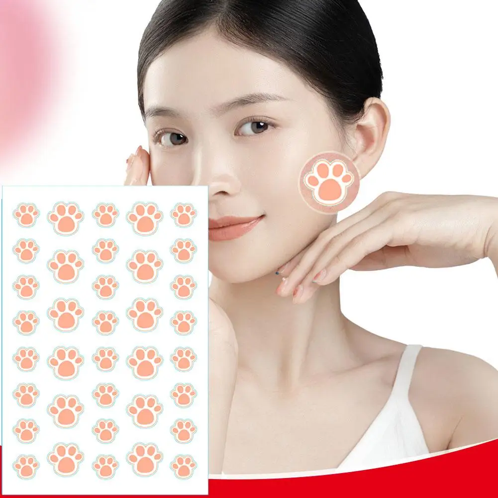 Kattenklauw Hydrocolloïde Acne Masker Onzichtbaar Acne Masker Schattige Acne Masker Schoonheid Acne Tool Acne Originele Concealer Gezichtspot Schoonheid