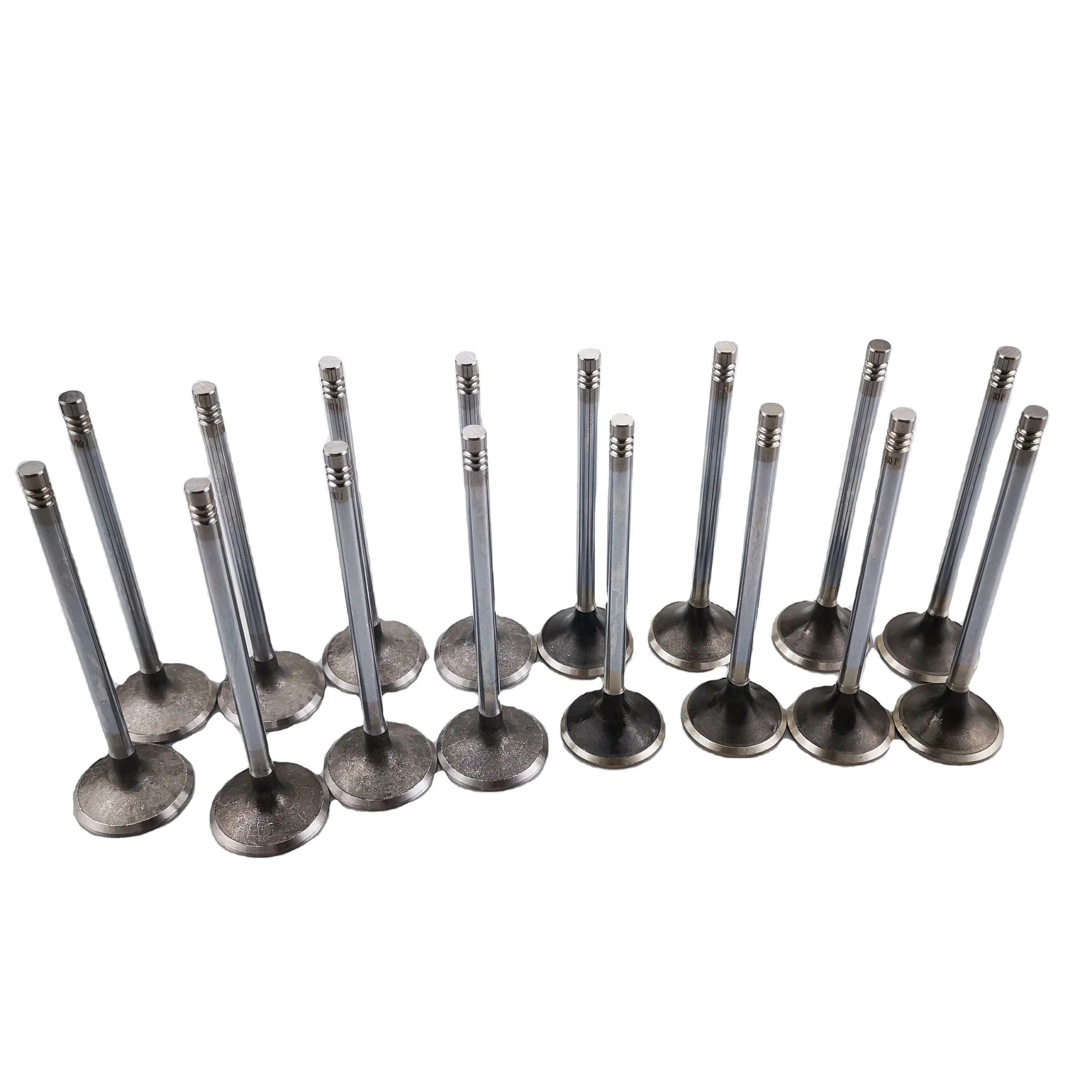 SAIC MAXUS V80 T60 Original Intake Valve C00014558 Exhaust Valve C00014557