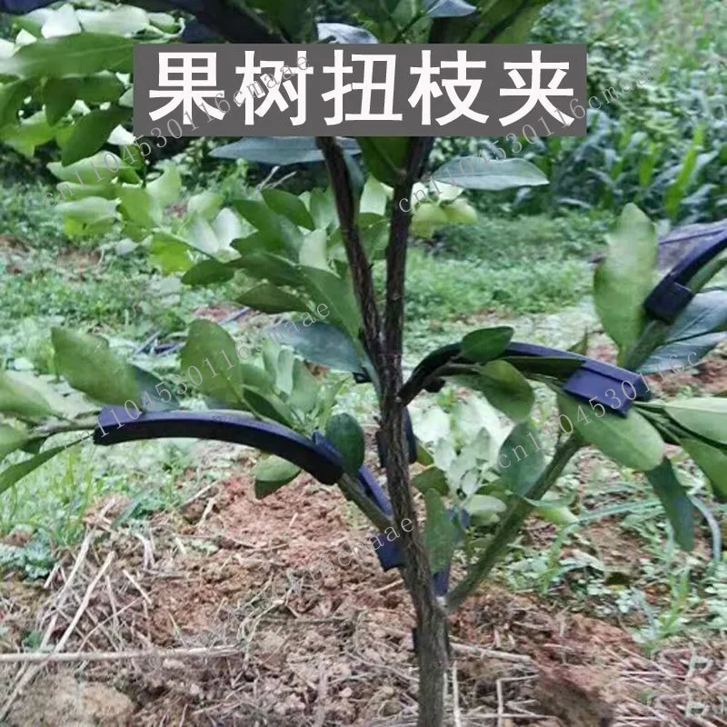 Bending tool presses a new generation of 360-degree seedling corrective strips to fix twisted branches and fruit trees