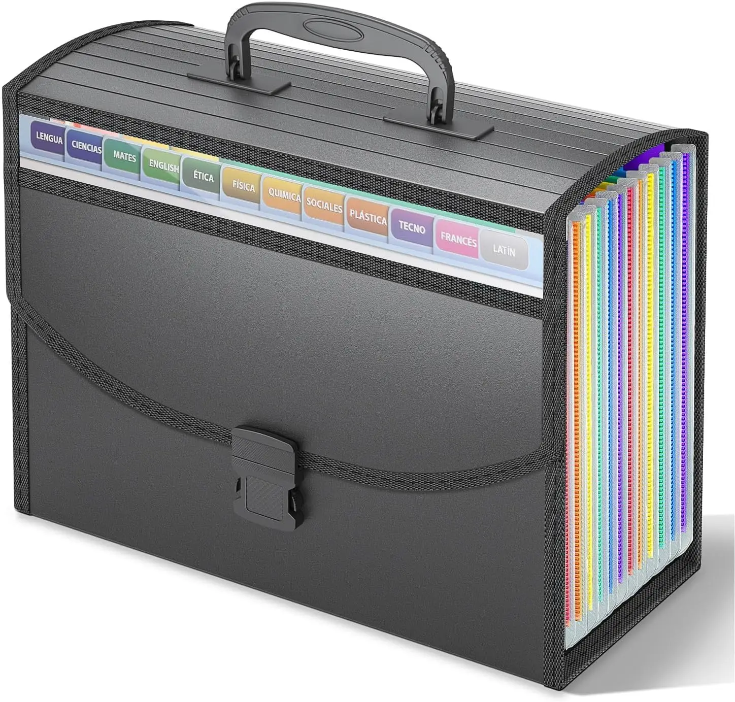 

Accordion-style file organizer, 13 compartments with handle for easy carrying, A4/Letter size, color labels.