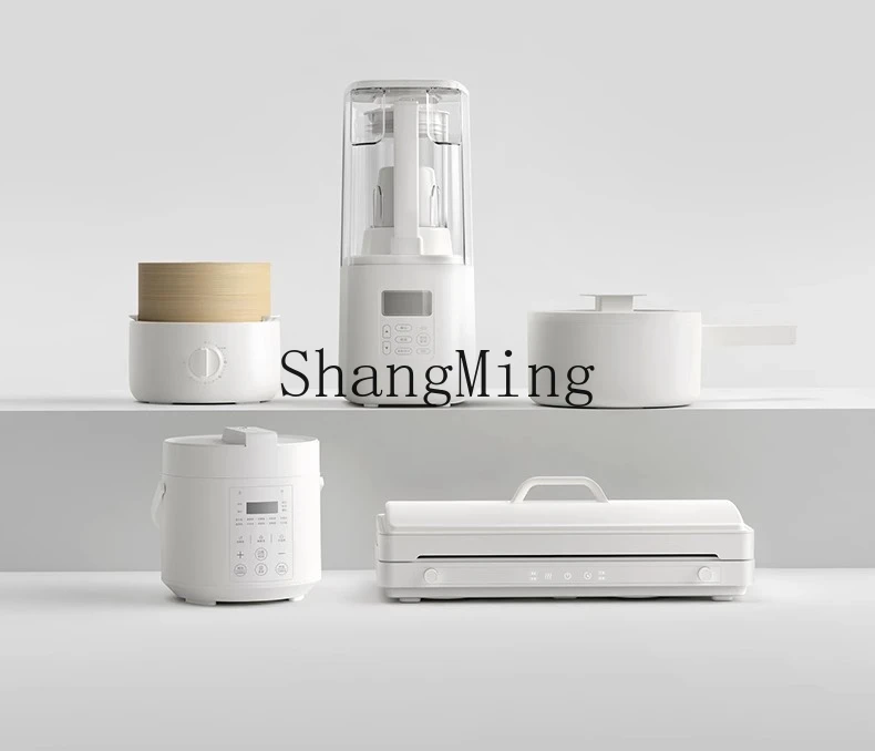 ZYY pentola a pressione elettrica istantanea non rivestita piccola mini pentola a pressione da 2 litri per uso domestico