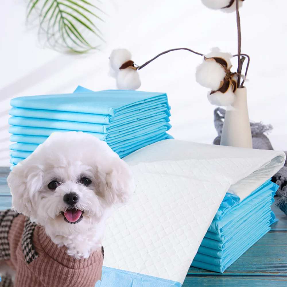 Pet Pee Mats Charcoal Deodorizing Disposable Puppy Diapers Strong Absorption Potty Training Pads For Indoor Animals