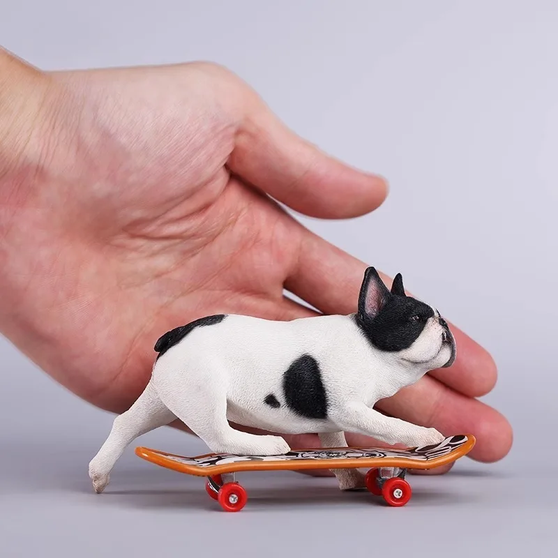 JXK – bouledogue simulé à l'échelle 1/6, modèle de chiot de combat de Skateboard fait à la main pour figurines d'action de 12 pouces, ornement d'animaux, cadeaux