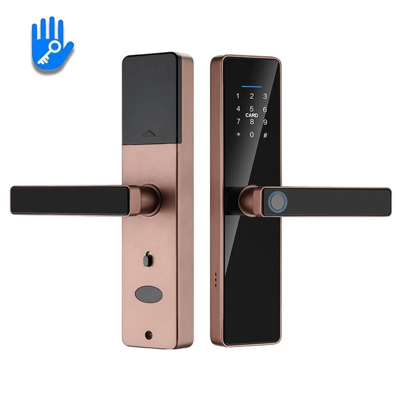 Waterproof Aluminum Alloy Lock Digital Keyless Fingerprint Recognition Electric TUYA APP European Automatic Smart Door Lock