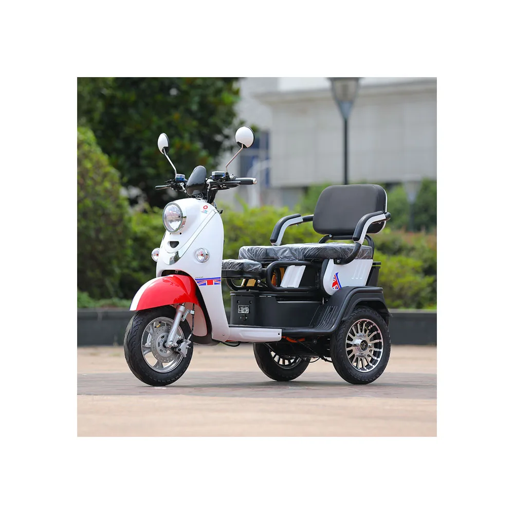 Cost Effective Quality Assurance Adults 3 Wheels Electric Leisure Vehicle Motorcyclecustom