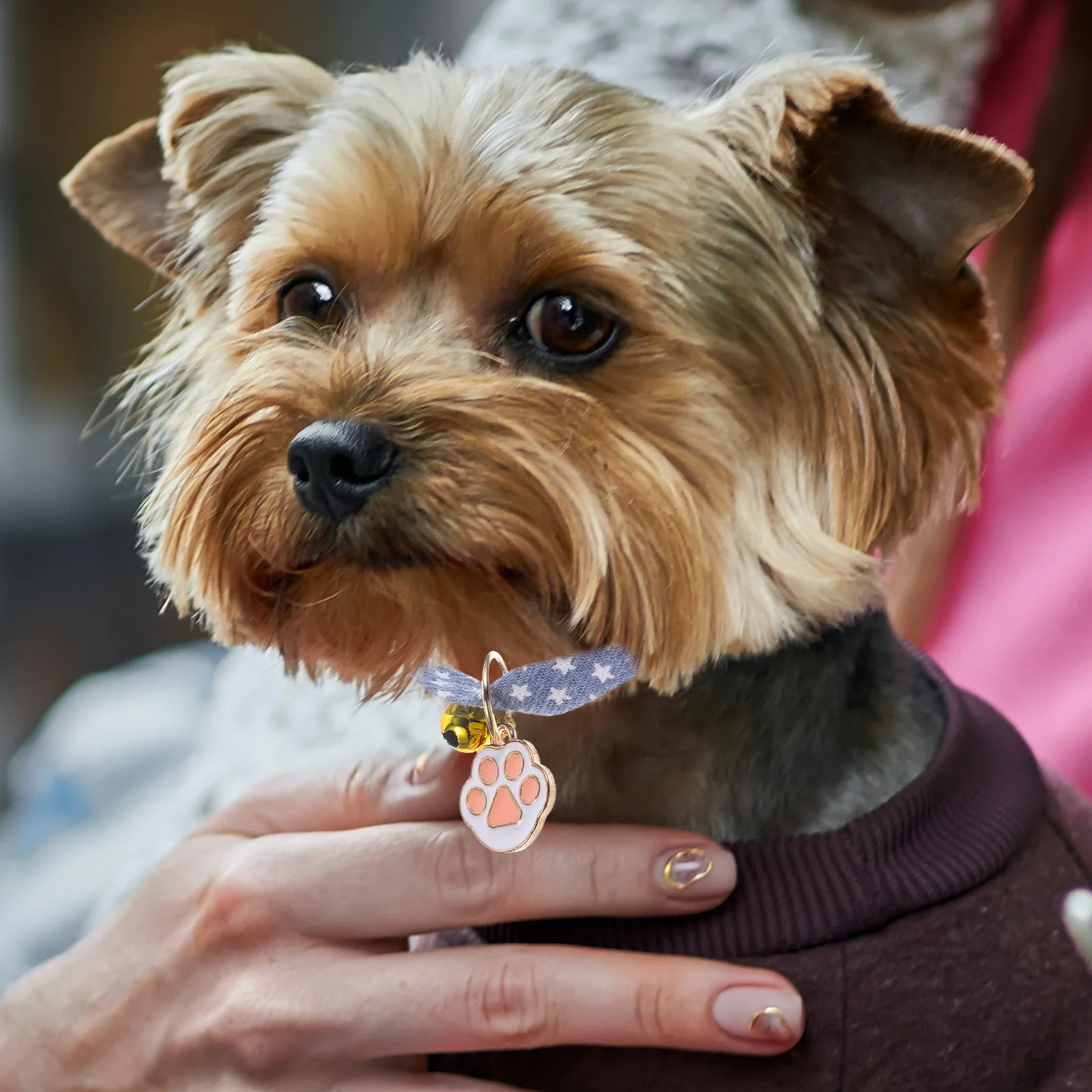 

Cute Cat Collar with Bell Adjustable Decorative Pet Collar Chic Design Comfortable Skin-Friendly for Daily Wear Party