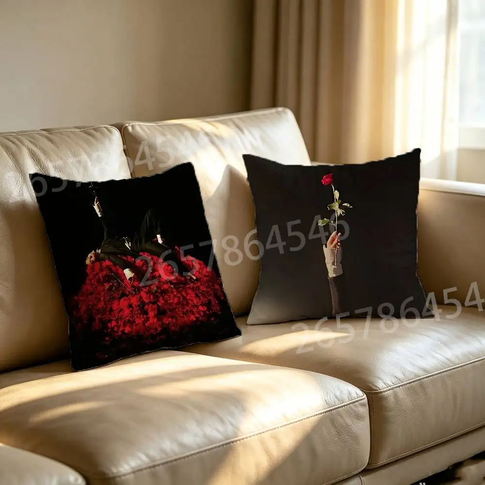 S-Superache C-conan grey Polyester Printed Pillow Cover Square 30 35 40 45 50 55 cm Soft for Sofa Bed Car Home Decor